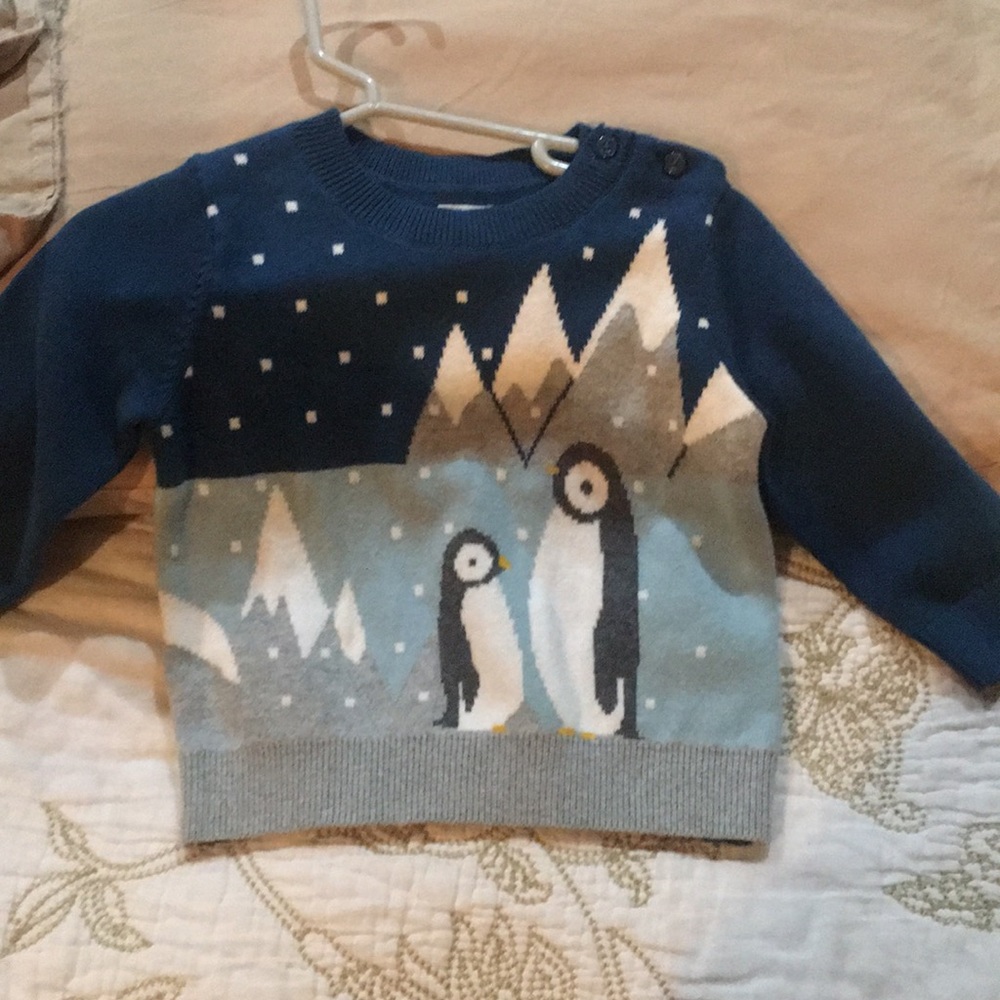 Baby gap sweater